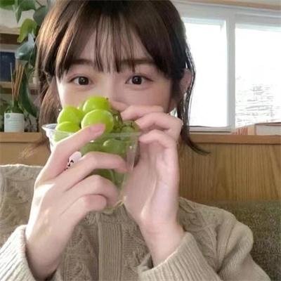 网美嬉游记